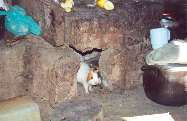 Población de Huambalpa - Ayacucho