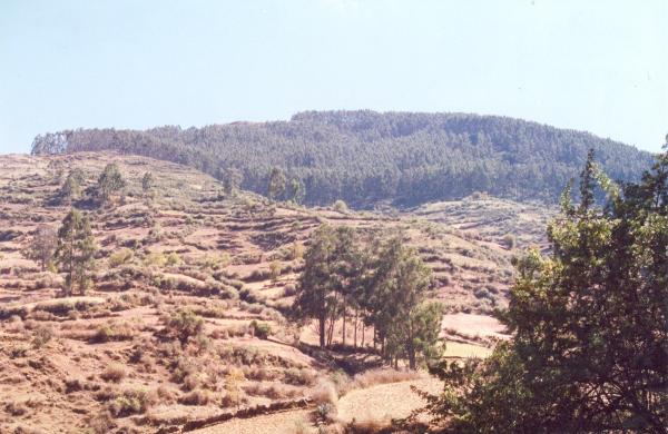 Población de Huambalpa - Ayacucho