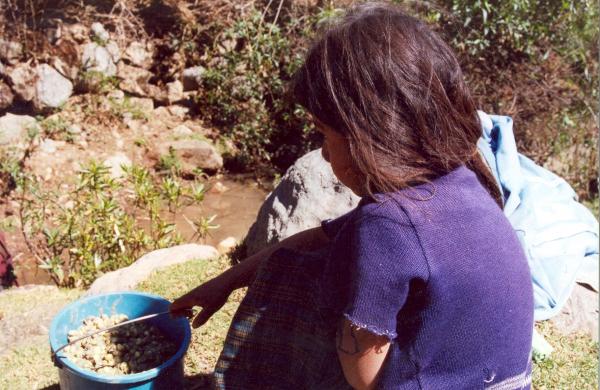 Población de Huambalpa - Ayacucho