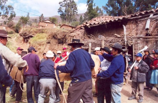 Población de Huambalpa - Ayacucho