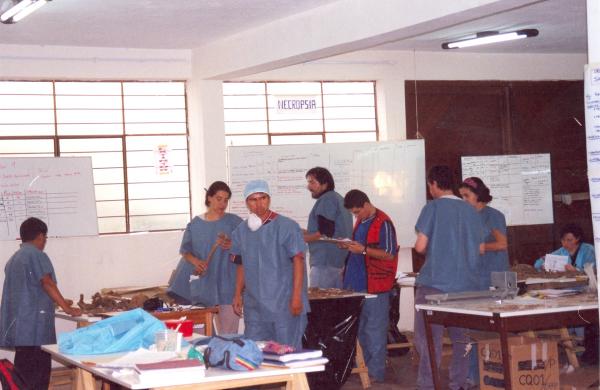 Limpieza e identificación de restos humanos en Totos - Ayacucho