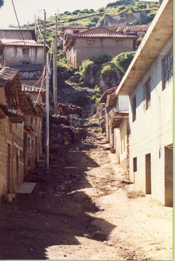 Entrevistas a la población de Santiago de Lucanamarca