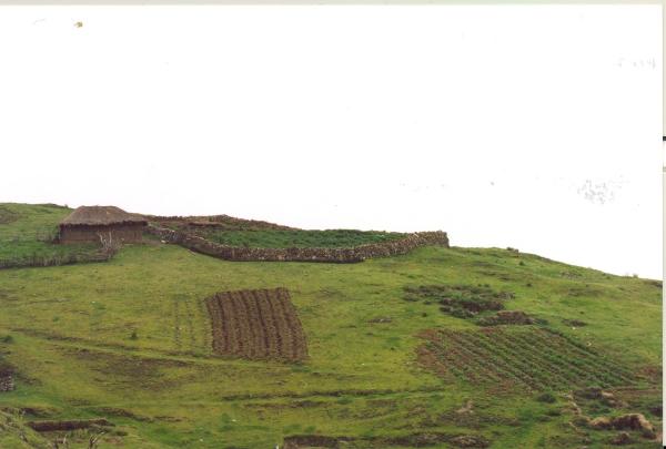 Viaje a Oronccoy - Ayacucho