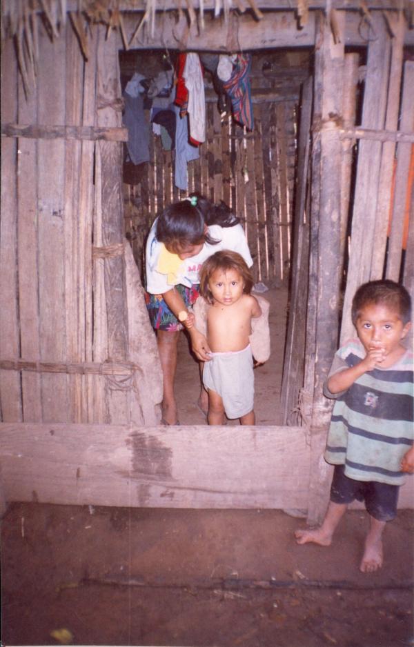 Trabajos con comunidades Asháninkas