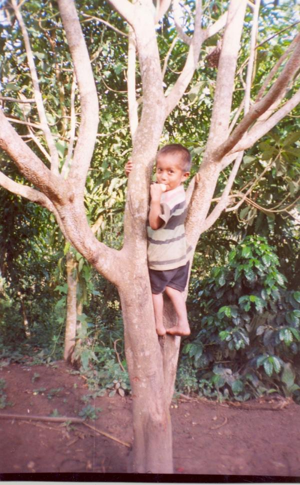 Trabajos con comunidades Asháninkas