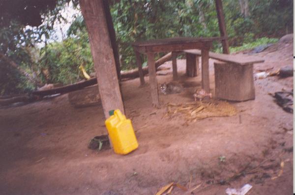 Trabajos con comunidades Asháninkas