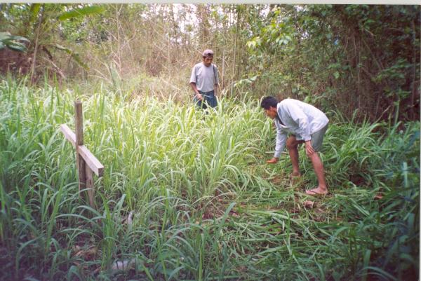 Trabajos con comunidades Asháninkas