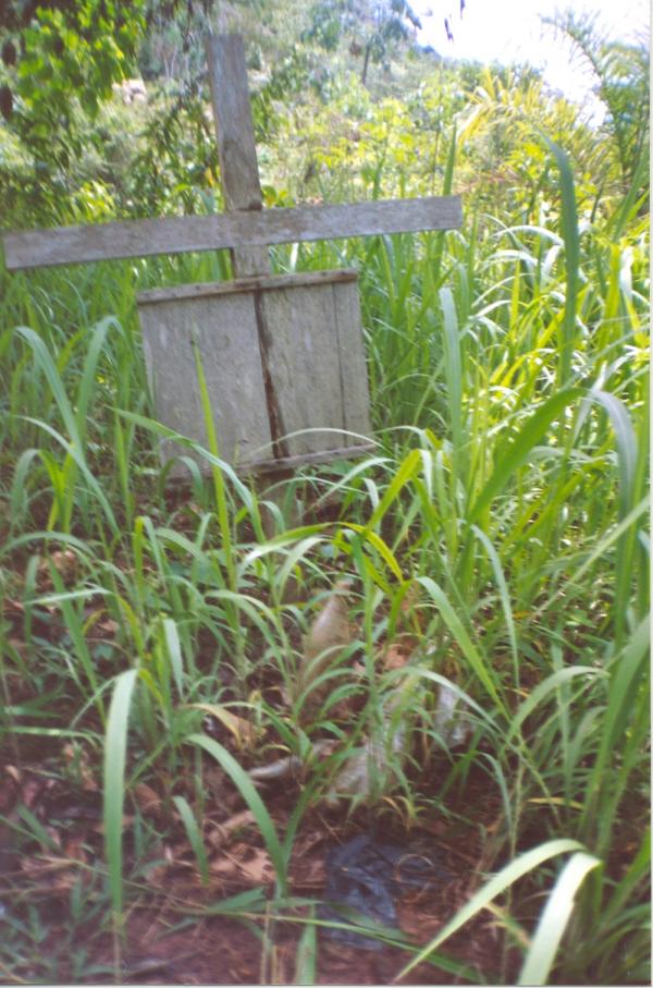 Trabajos con comunidades Asháninkas