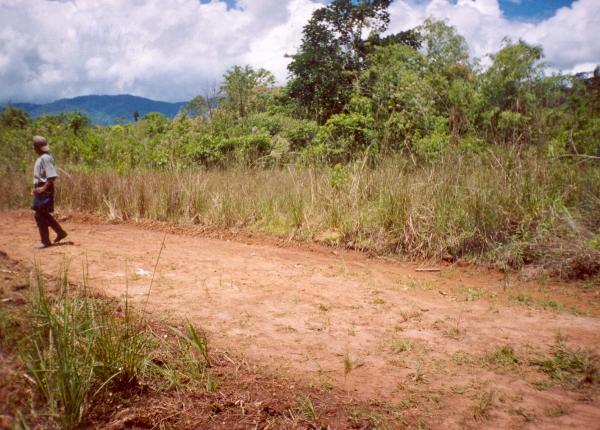 Trabajos con comunidades Asháninkas