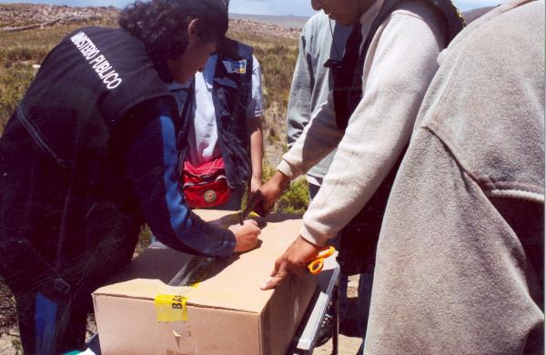 Exhumación de fosas en Santiago de Lucanamarca - Ayacucho