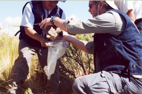 Exhumación de fosas en Santiago de Lucanamarca - Ayacucho