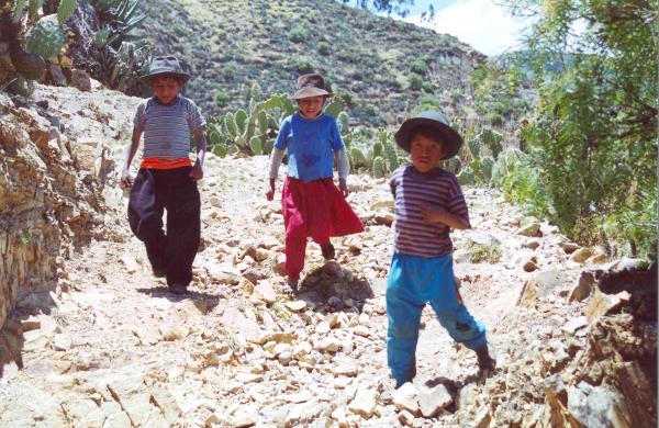 Exhumación de fosas en Santiago de Lucanamarca - Ayacucho