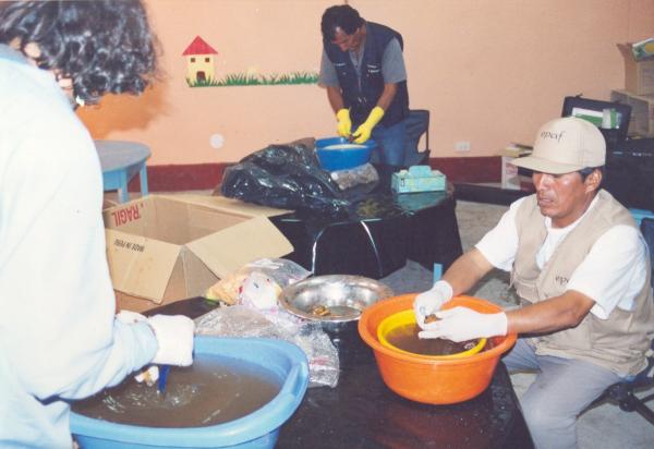 Limpieza e identificación de restos hallados en las fosas de Chuschi - Ayacucho