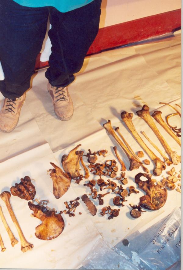 Limpieza e identificación de restos hallados en las fosas de Chuschi - Ayacucho