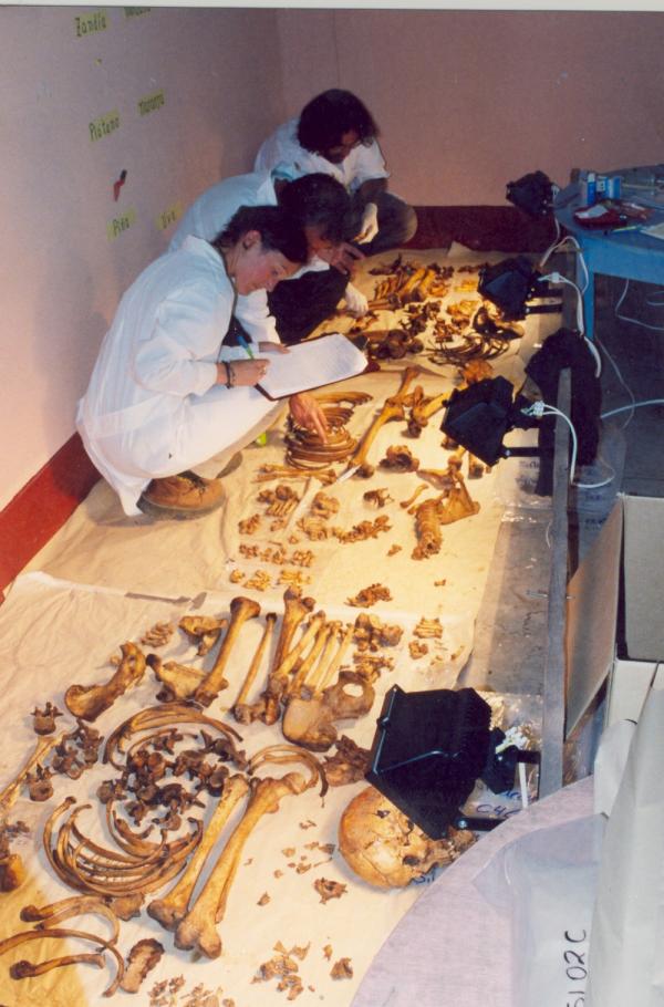 Limpieza e identificación de restos hallados en las fosas de Chuschi - Ayacucho