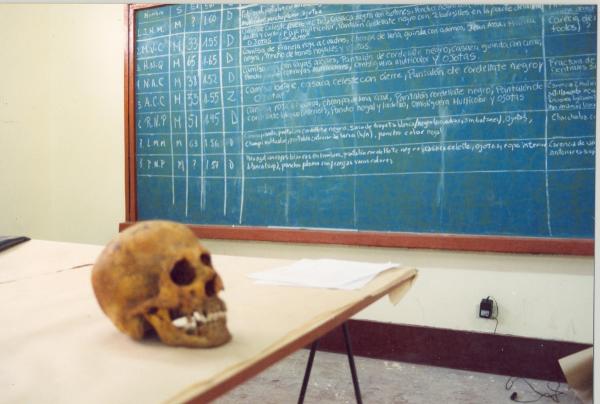 Limpieza e identificación de restos hallados en las fosas de Chuschi - Ayacucho