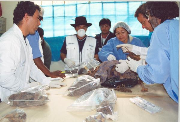 Limpieza e identificación de restos hallados en las fosas de Chuschi - Ayacucho