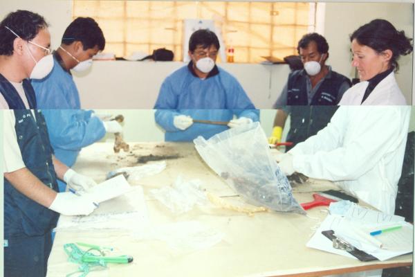 Limpieza e identificación de restos hallados en las fosas de Chuschi - Ayacucho