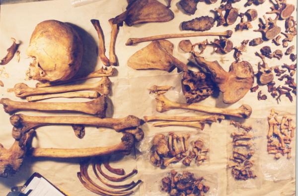 Limpieza e identificación de restos hallados en las fosas de Chuschi - Ayacucho