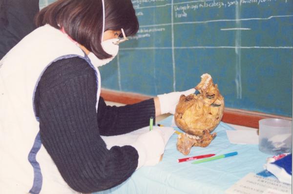 Limpieza e identificación de restos hallados en las fosas de Chuschi - Ayacucho