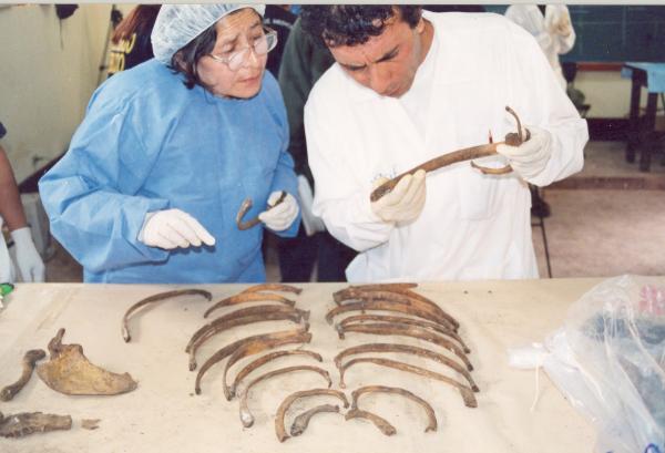 Limpieza e identificación de restos hallados en las fosas de Chuschi - Ayacucho