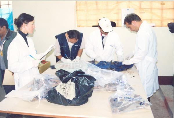 Limpieza e identificación de restos hallados en las fosas de Chuschi - Ayacucho