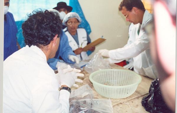 Limpieza e identificación de restos hallados en las fosas de Chuschi - Ayacucho