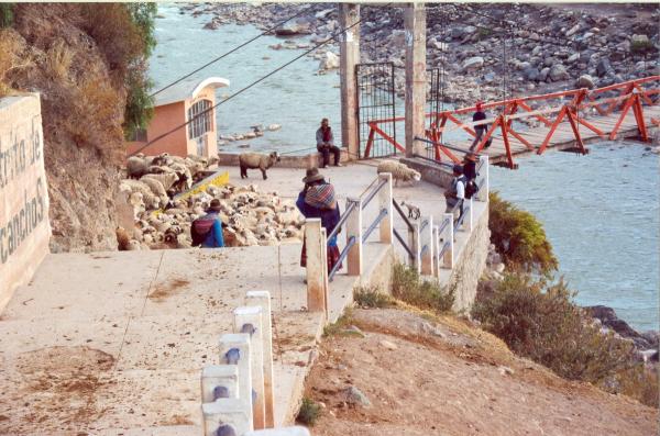 Exhumación en Totos - Ayacucho