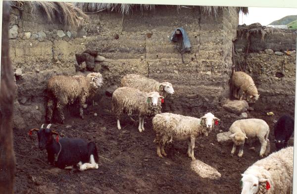 Visita de la Comisión de la Verdad y Reconciliación a Uchuraccay