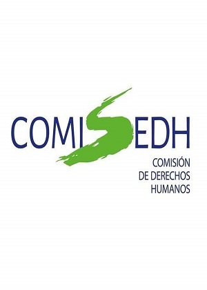 Comisión de Derechos Humanos - COMISEDH